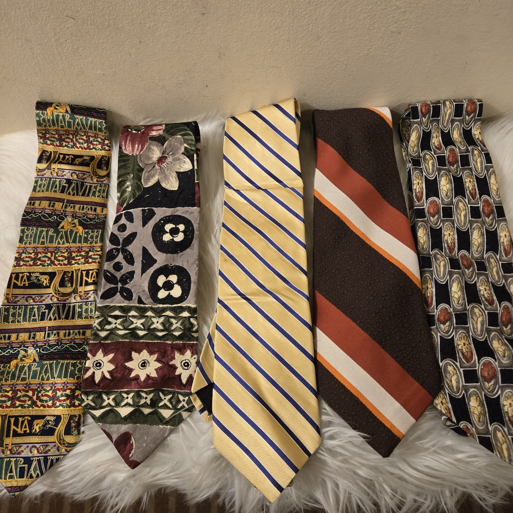 Assorted Men's Ties Set  of 5- Multicolor